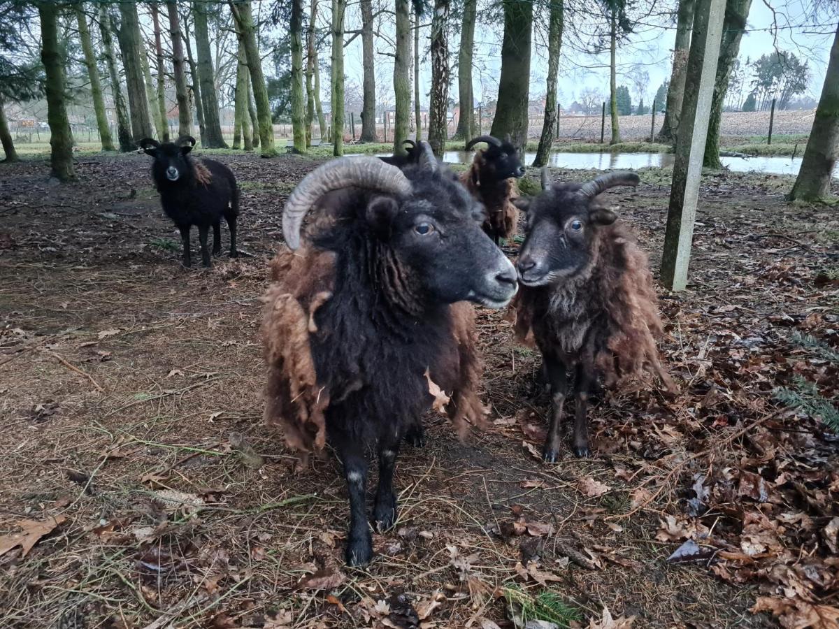 Parkhoeve Glamping Ham Eksteriør billede